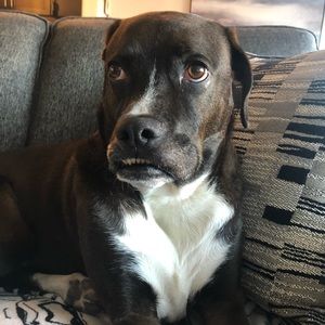 Meet your Posher, Rebecca